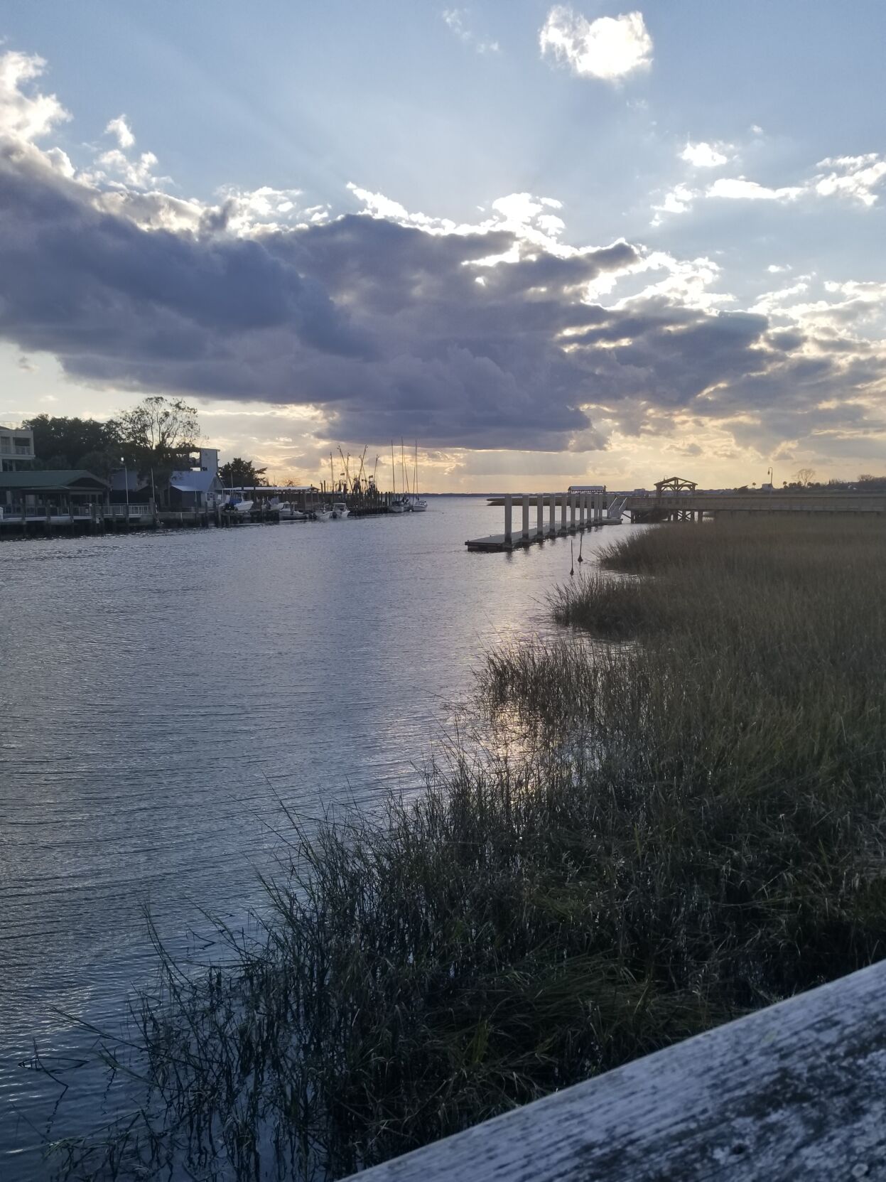 Shem creek